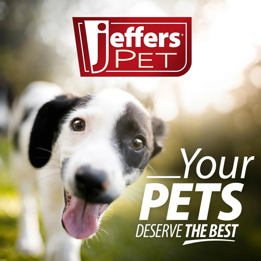 Jeffers Pet Animal Cuddlers plush dog toy gift-ready packaging appeals as a thoughtful present.