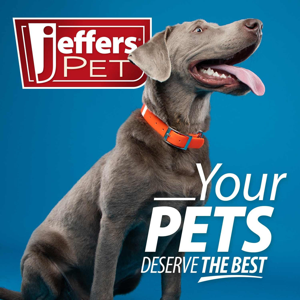 Jeffers Pet Thinnies raccoon toy in hand highlighting portable fetch option.