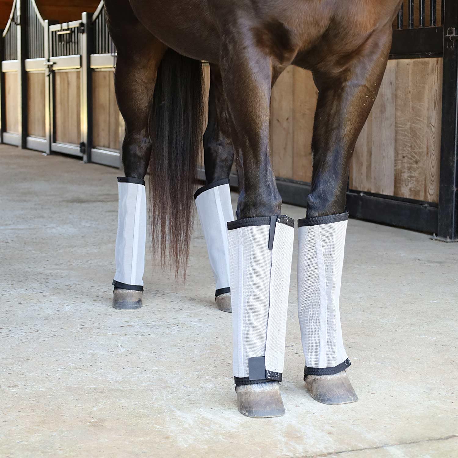 Jeffers Romper Stomper Fly Boots stable turnout use image demonstrates insect protection
