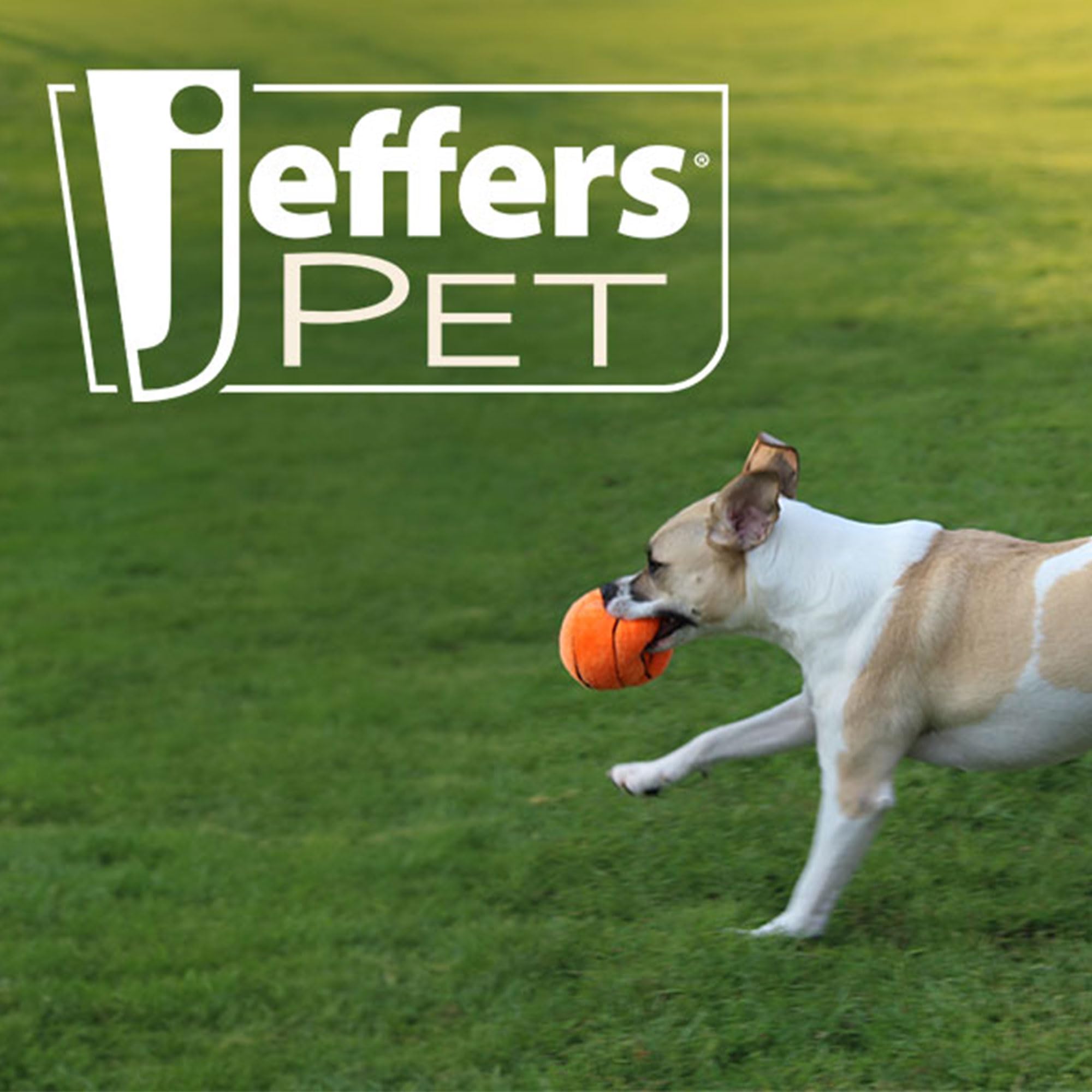 Jeffers Sporty Pup ball makes a delightful gift for holidays or birthdays.