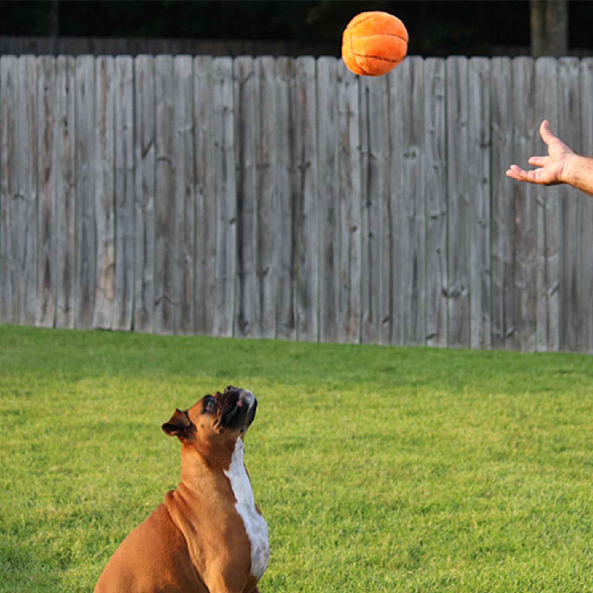 Jeffers plush football supports indoor activity, cuddling, and bond-building sessions.