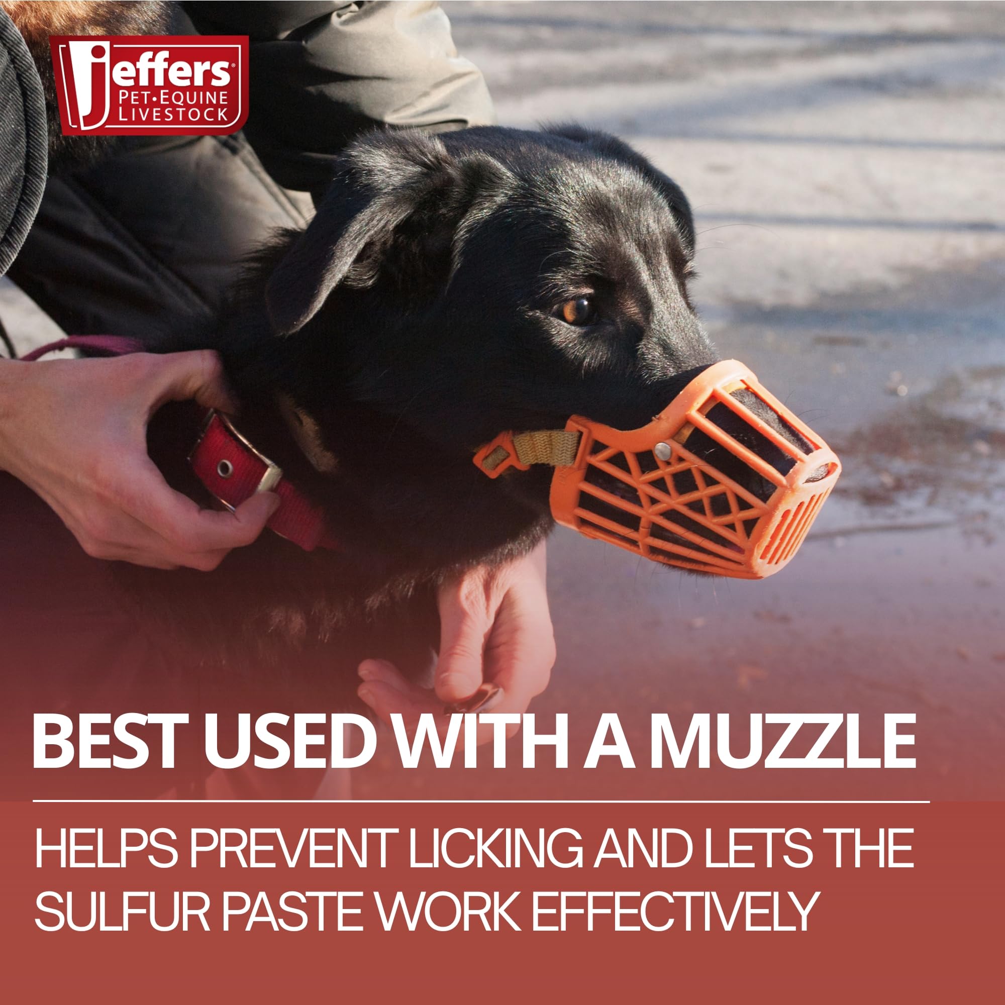Jeffers Super Sulfur Paste ears and elbows treatment