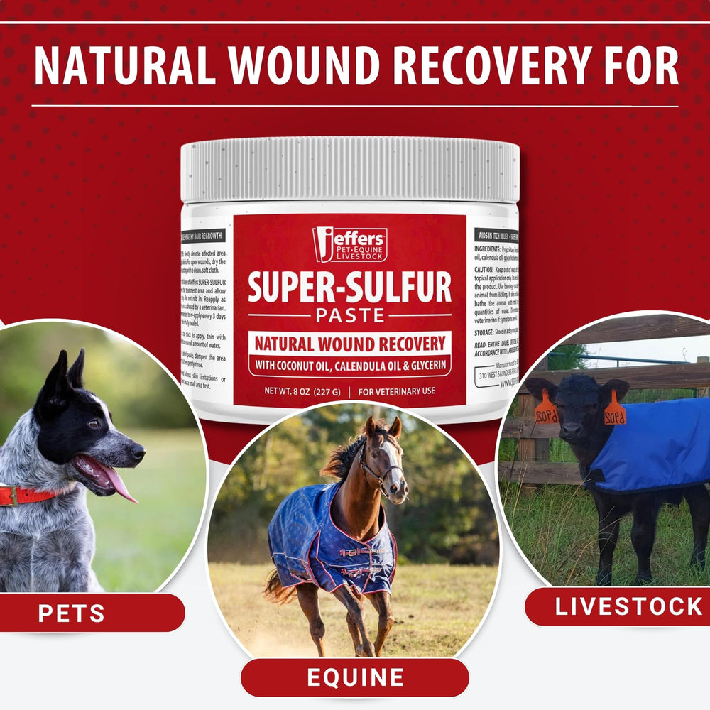 Jeffers Super Sulfur Paste hooves care closeup with natural ingredients