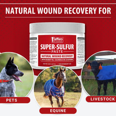 Jeffers Super Sulfur Paste hooves care closeup with natural ingredients