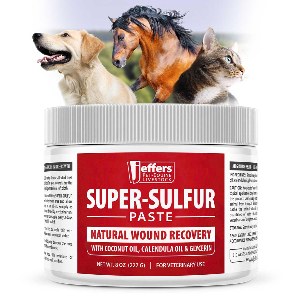 Jeffers Super Sulfur Paste bottle closeup for soothing skin support