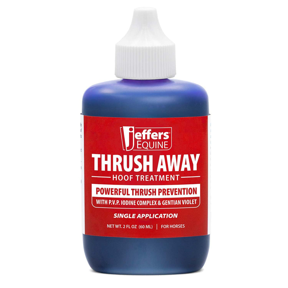 Jeffers Thrush Away applied to collateral grooves for improved hoof hygiene during grooming.