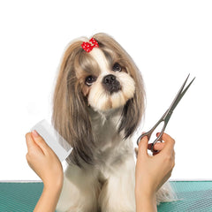 Jegtew travel-friendly flea comb compact size for on-the-go pet grooming.