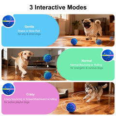 JEISOTHB motion-sensor features invite dogs to chase as the ball rolls.
