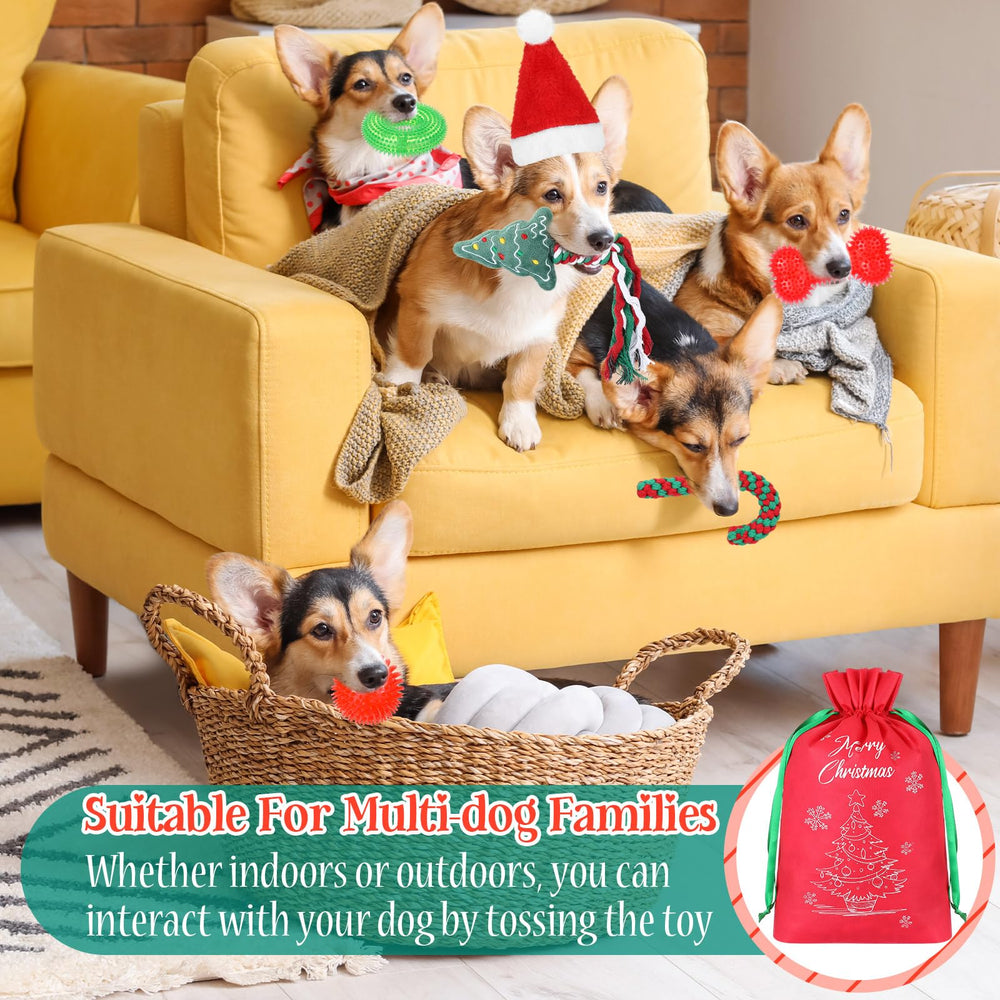 JellyArch donut squeaky toy for chewing and stress relief during holidays