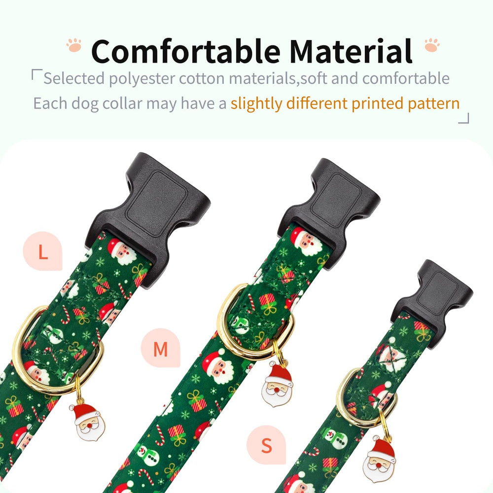 Jelwuion dog collar with D-ring shows easy leash attachment