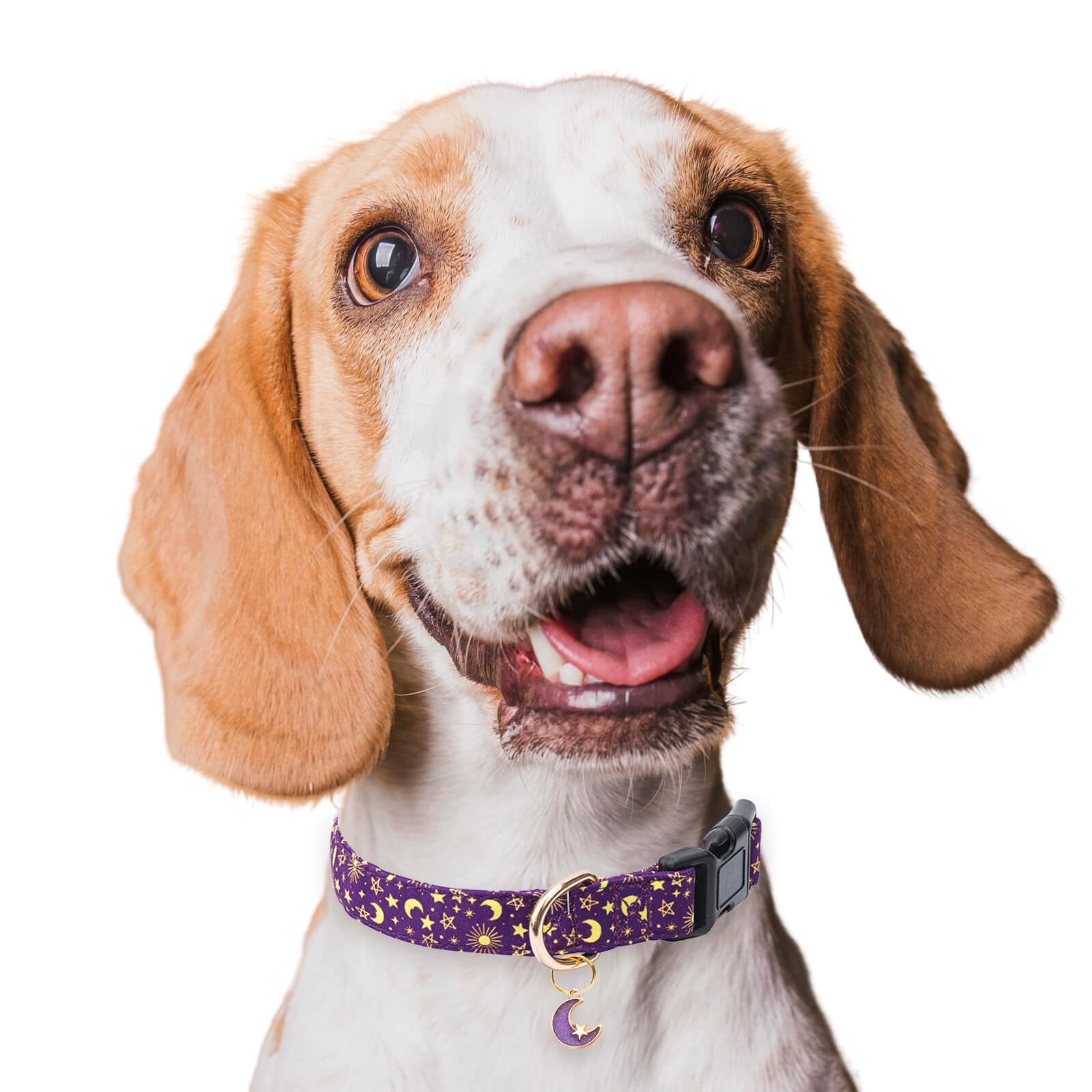 Jelwuion Lightweight collar with soft cotton feels comfortable during daily use.
