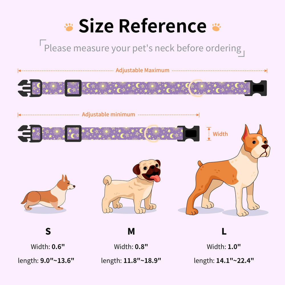 Jelwuion Moon-pattern dog collar on dog highlights playful style.