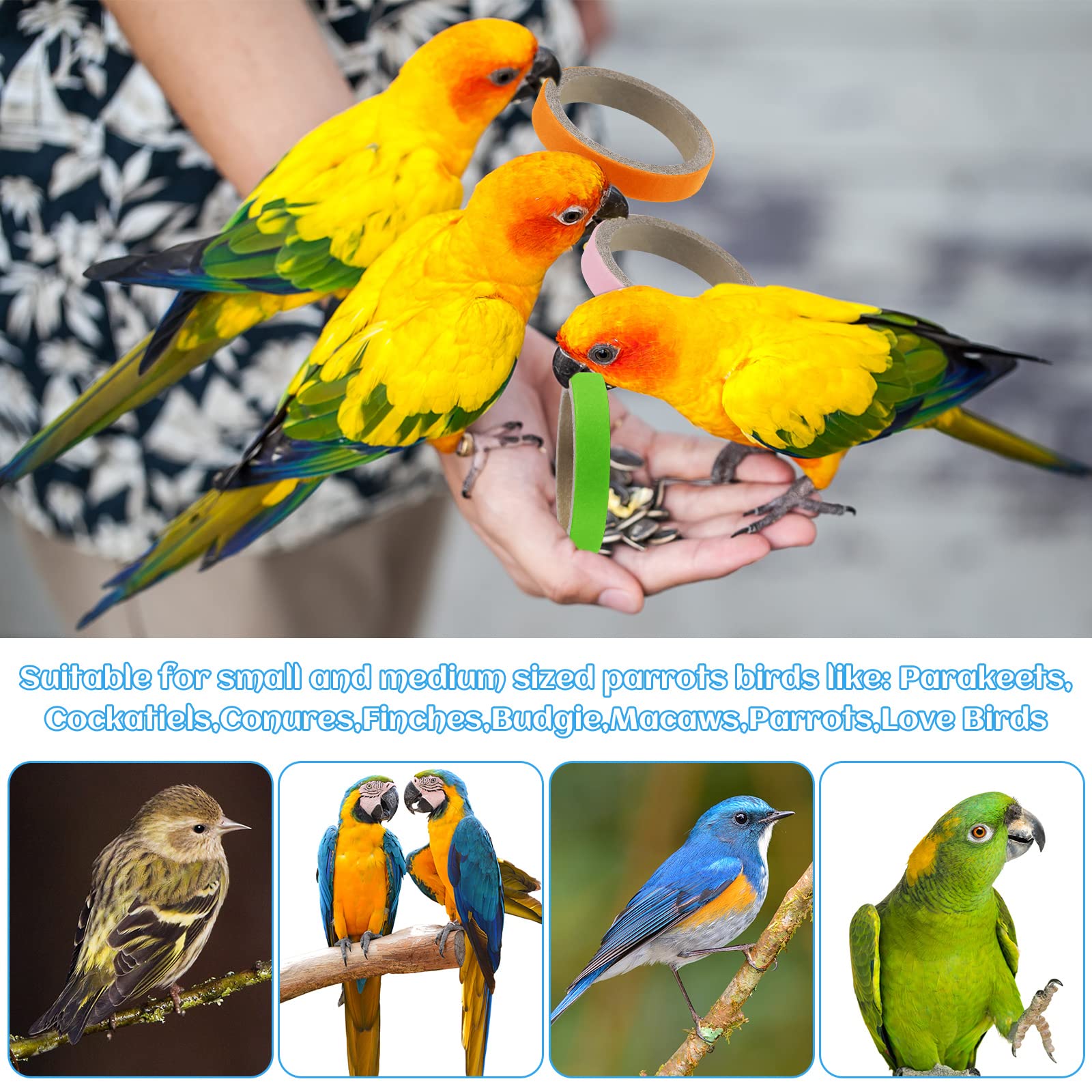 Jenaai 24pcs chew bagels parrots blue color supports exercise and beak conditioning