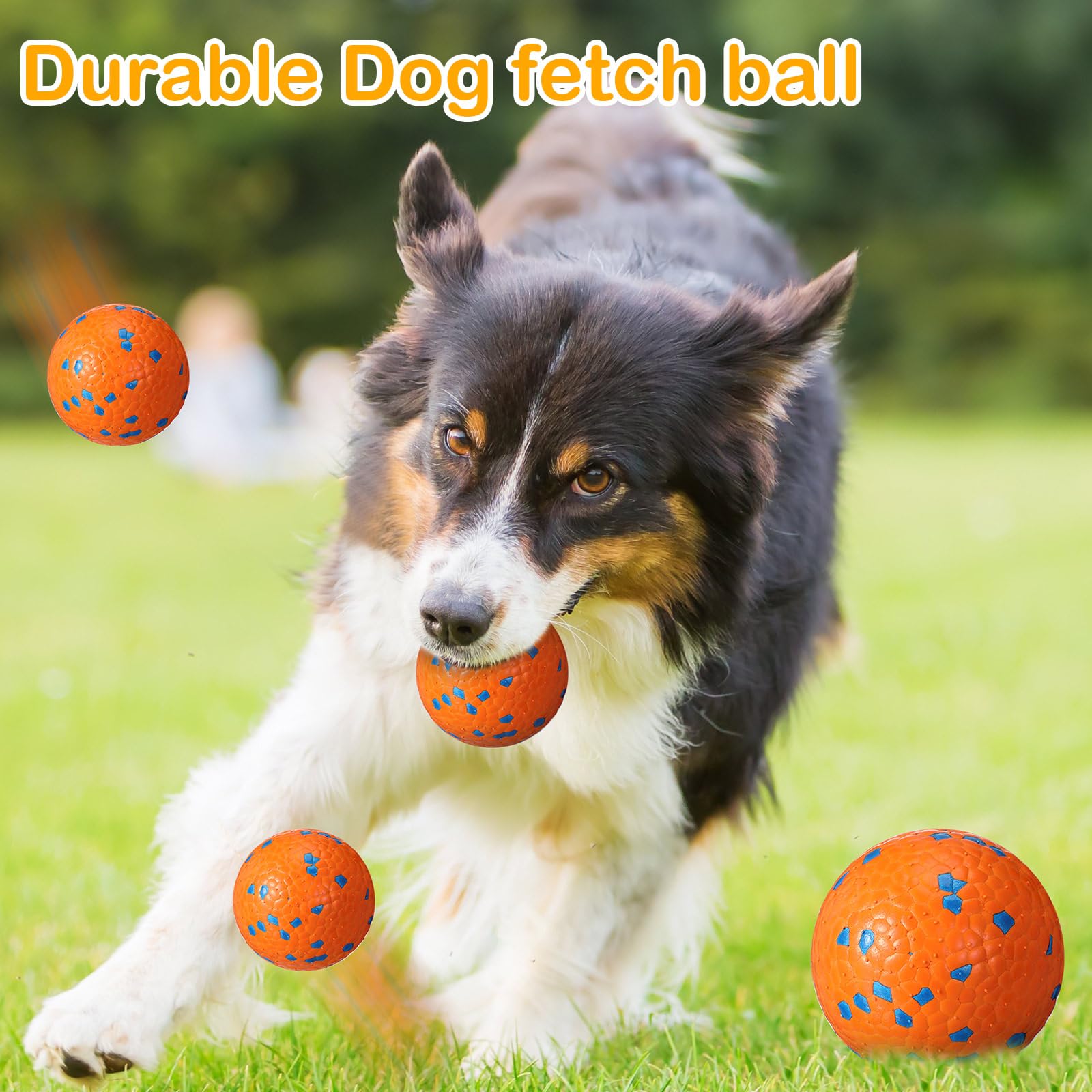 Jenaai dog balls gift-pack ideal for pet owners.