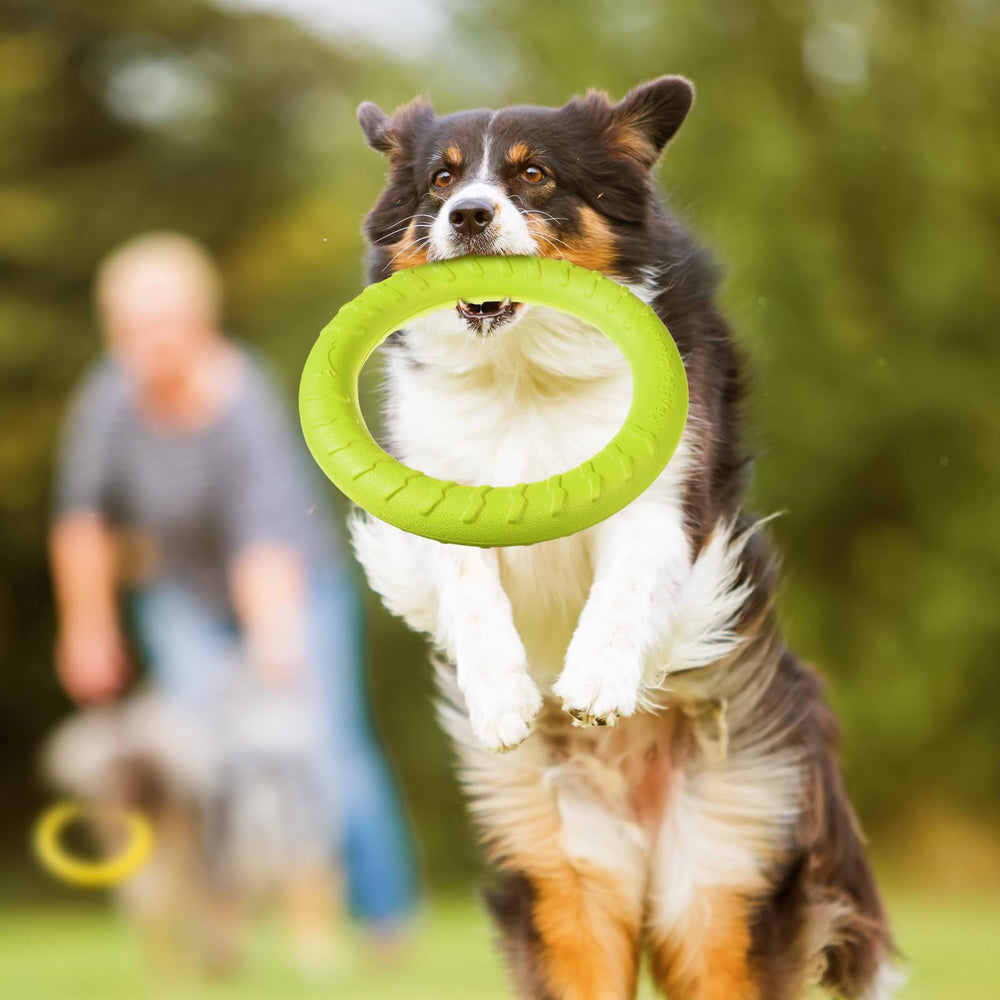 Jenaai dog training ring durable eva material highlights lightweight, easy-clean design.