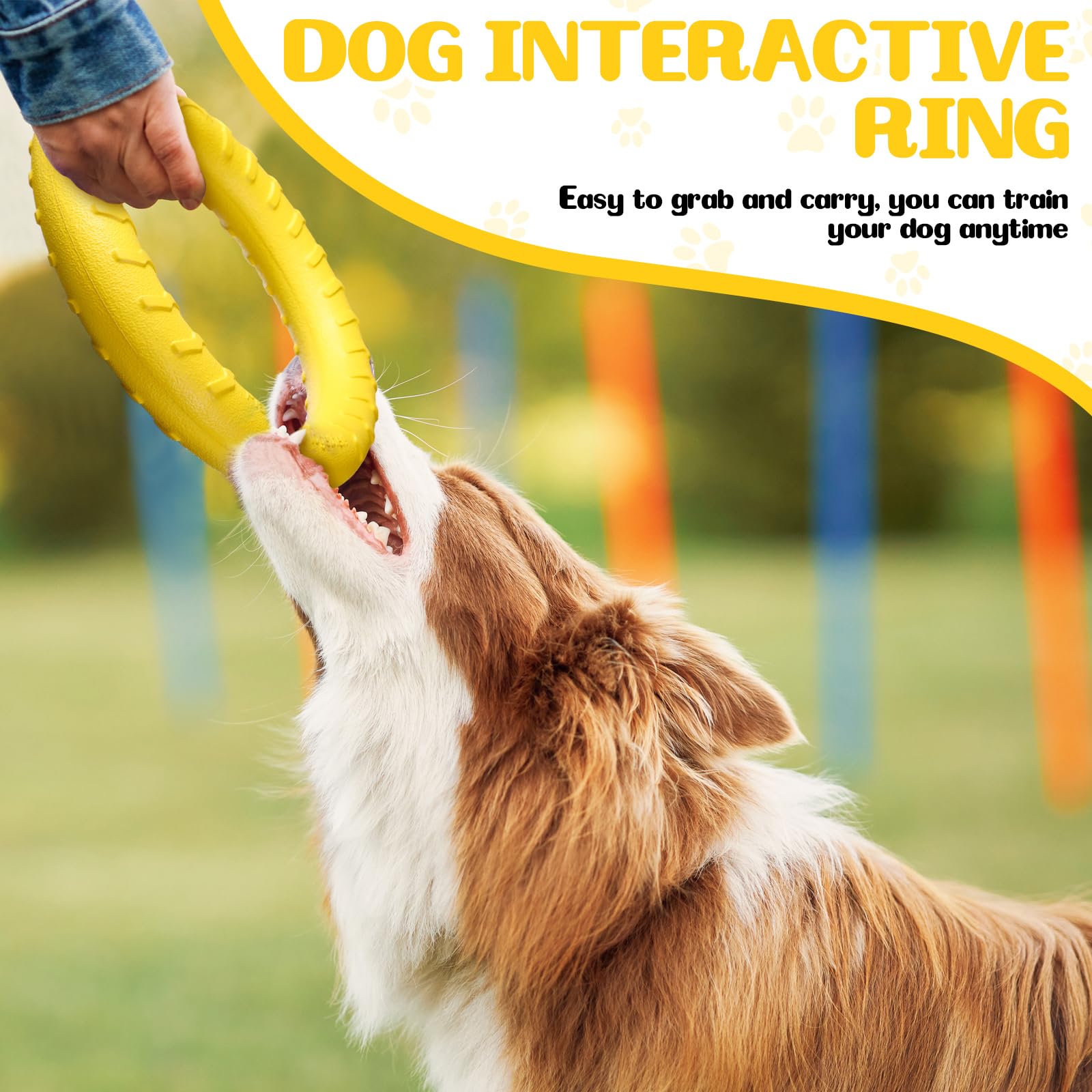 Jenaai dog training ring floating-water demonstrates buoyant ring for pool toys.