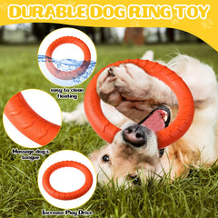 Jenaai dog training ring orange action emphasizes visibility and active play outdoors.