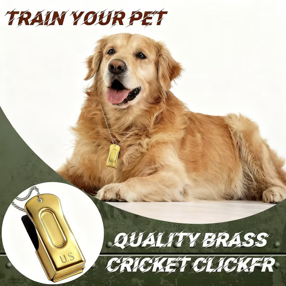 Jenaai gold training clicker kit demonstrates stylish, practical tool for everyday dog training.