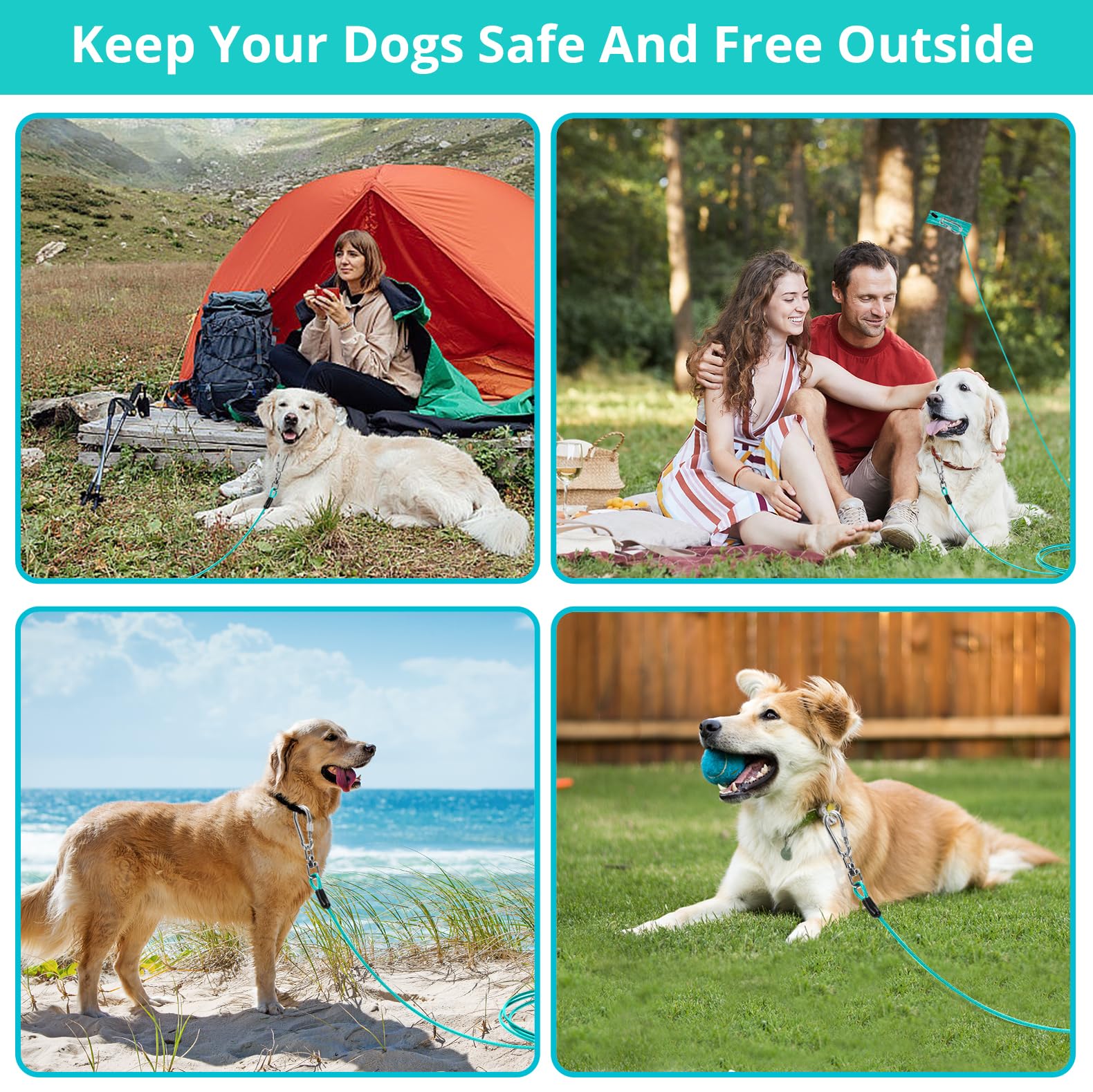 jenico dog runner outdoor tether demonstrates long 20 ft reach for yard freedom