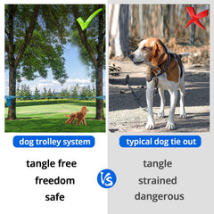 Jenico trolley system 360° swivel clip keeps dogs untangled during adventures.