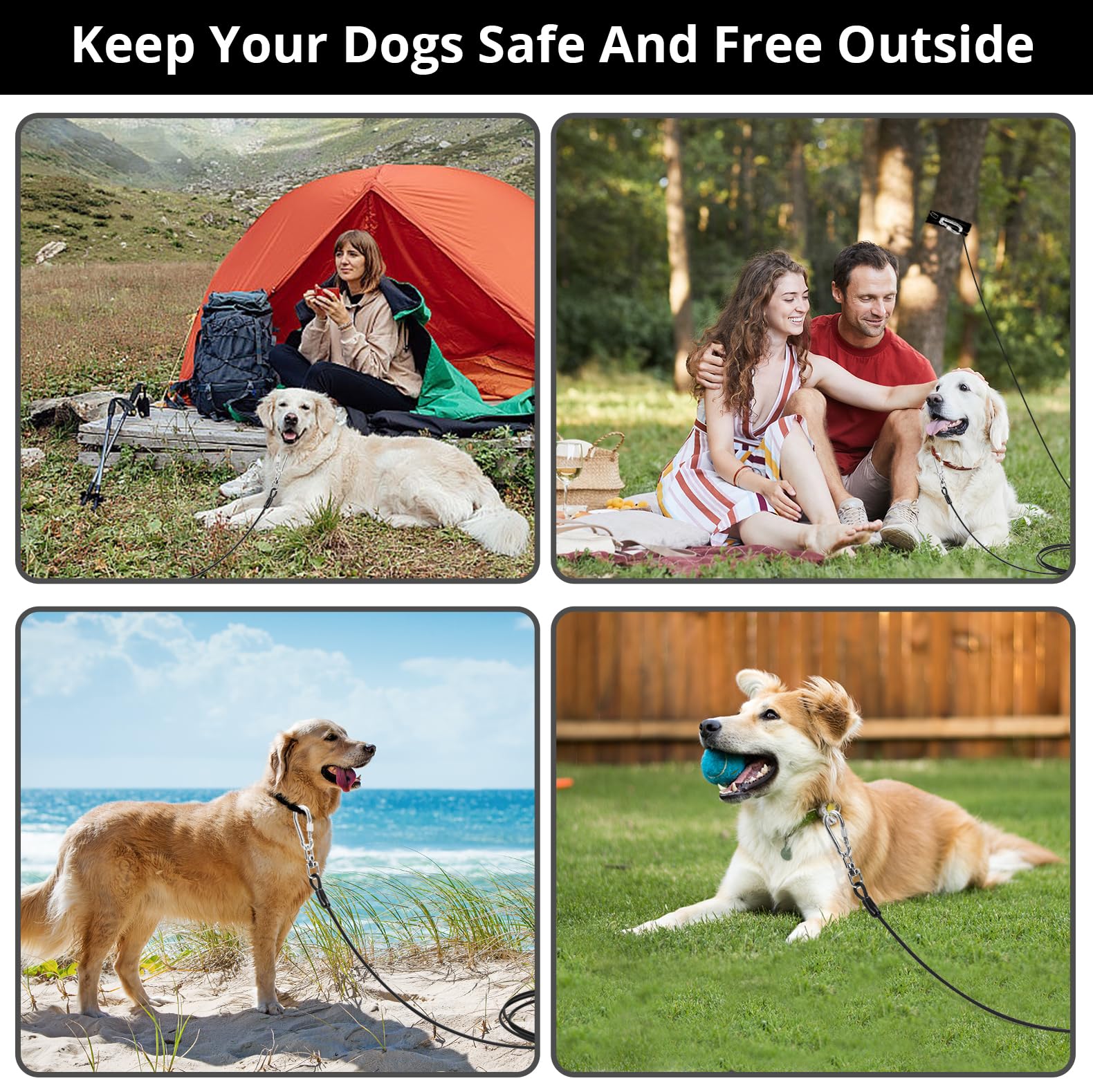 jenico lightweight and portable tie-out offers versatile outdoor use