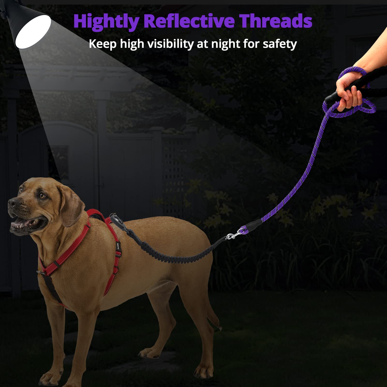 Jenico long dog leash 10ft walking and running with versatile training use.