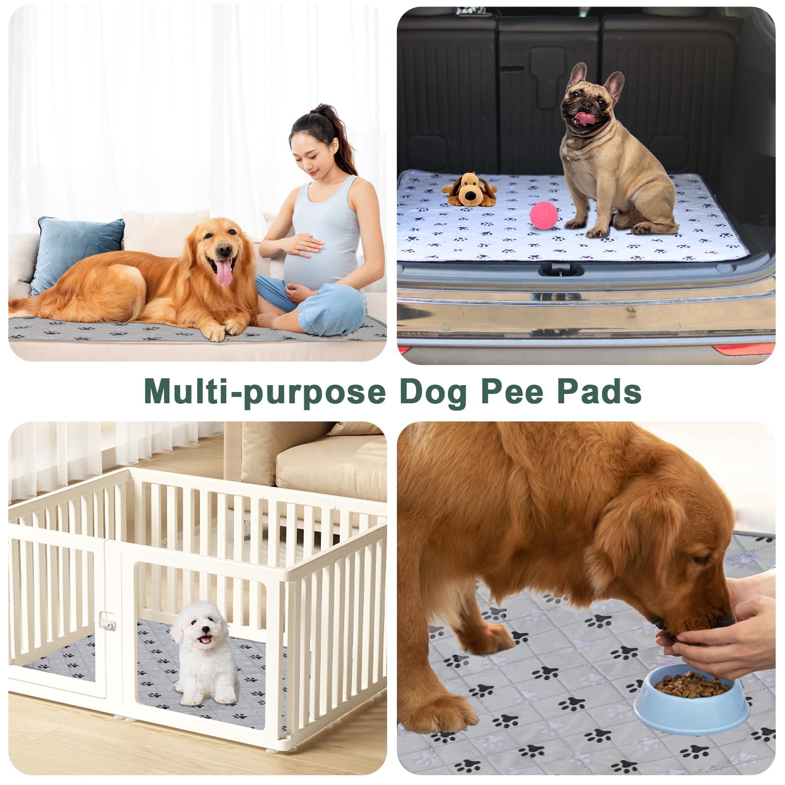 JERIA home-use potty-training pad aligns with daily routines for stress-free puppy training.