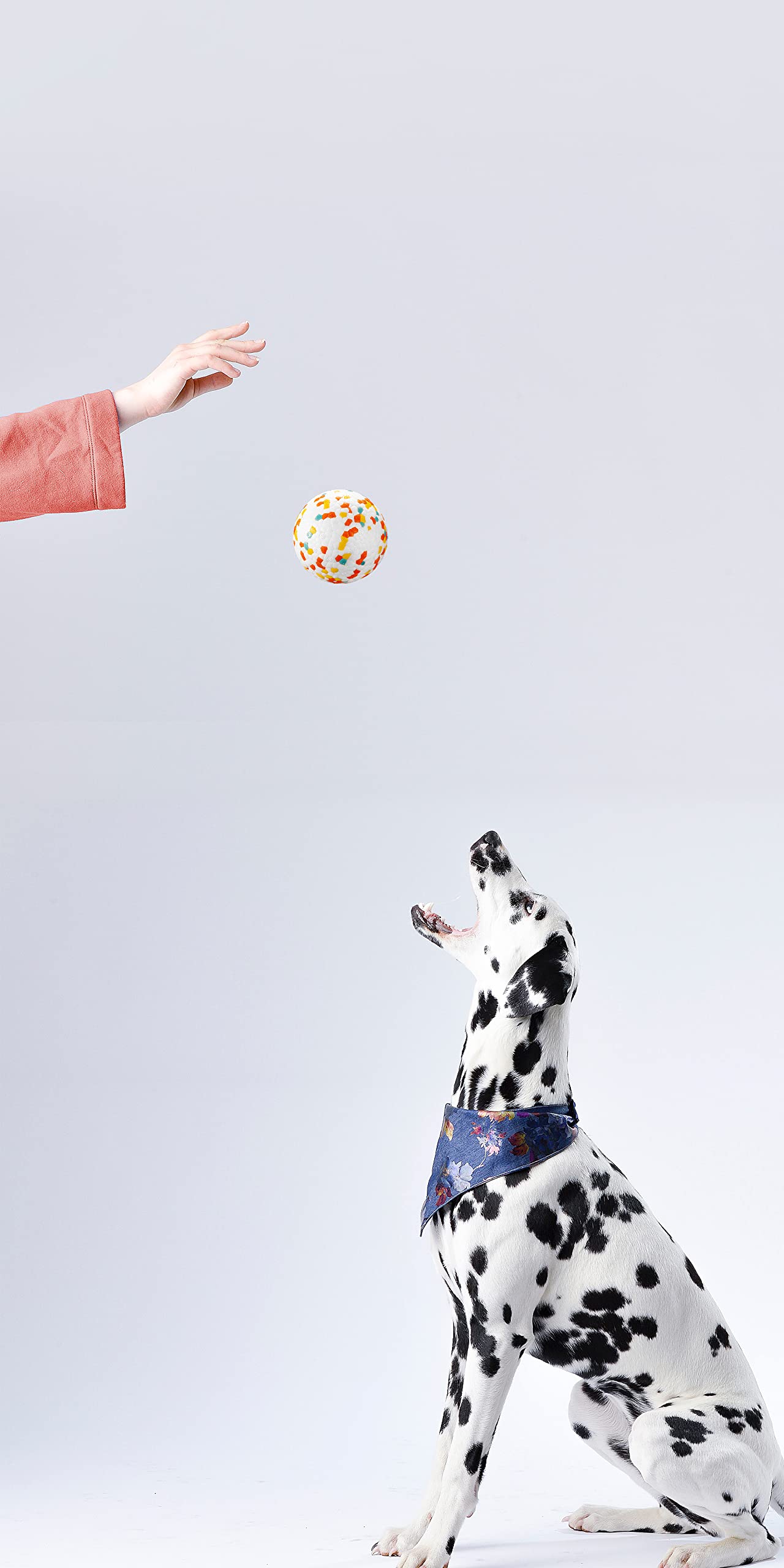JEROCK dog ball easy to clean and quick to dry after outdoor use