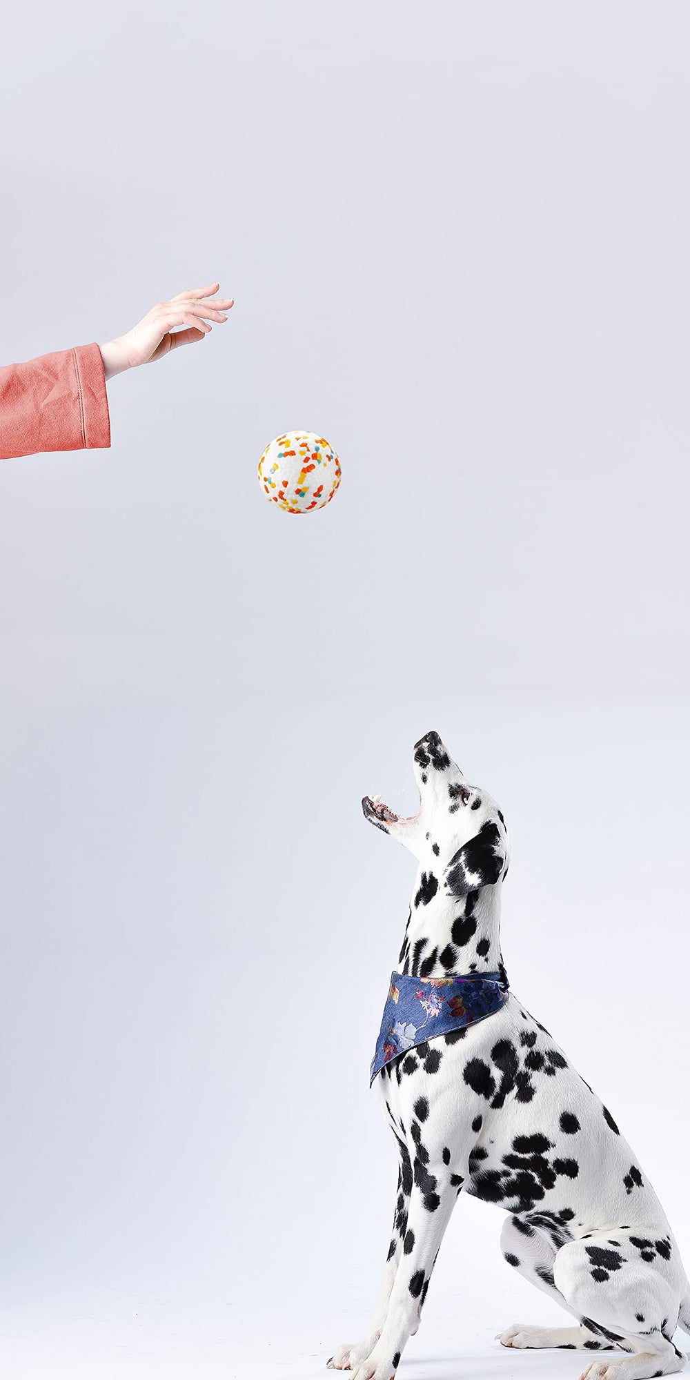 JEROCK dog ball easy to clean and quick to dry after outdoor use
