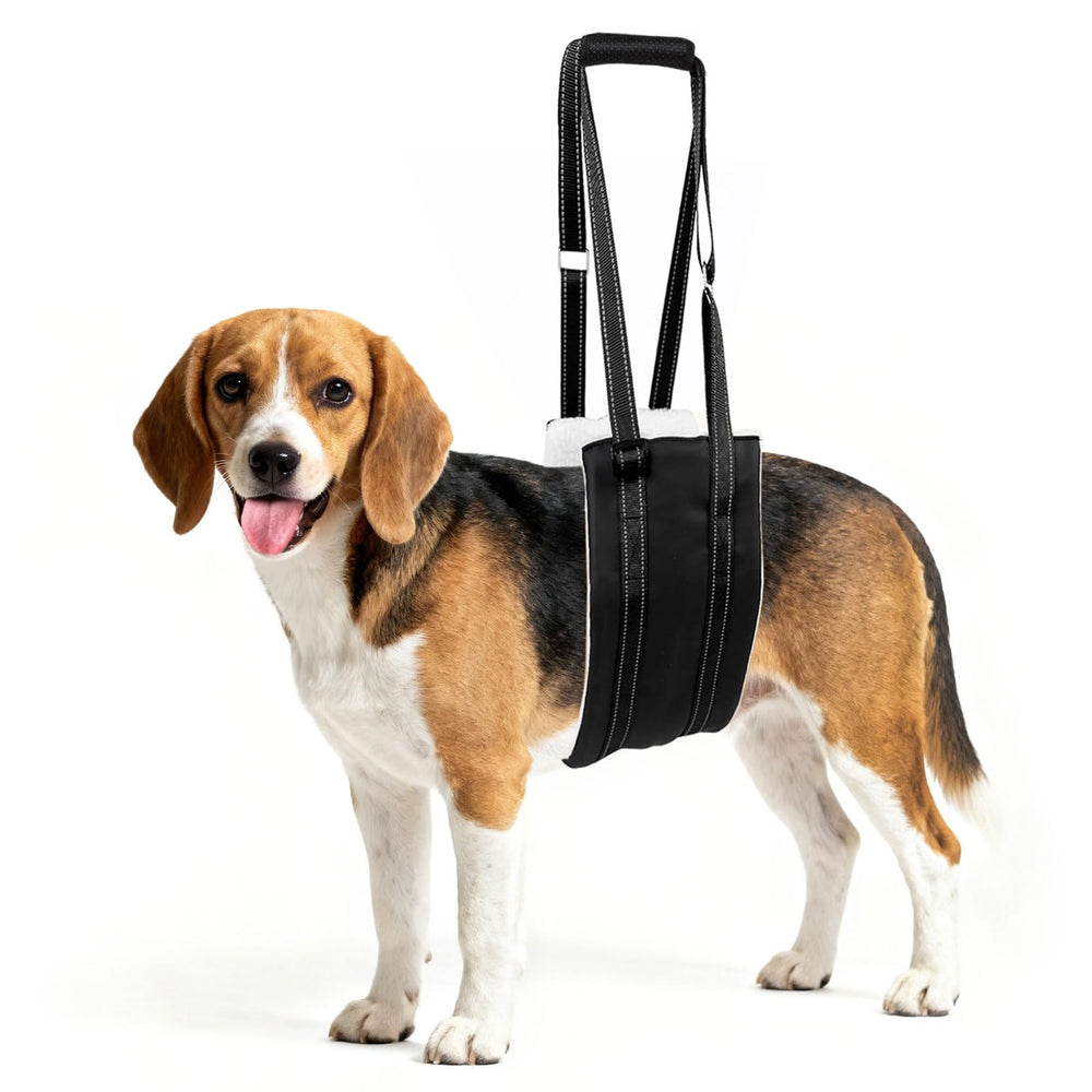 Jestrem Dog Lift Harness close-up with handle for safer lifting and comfortable control.