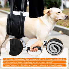Jestrem Dog Lift Harness rear view showing rear support for stairs and mobility.