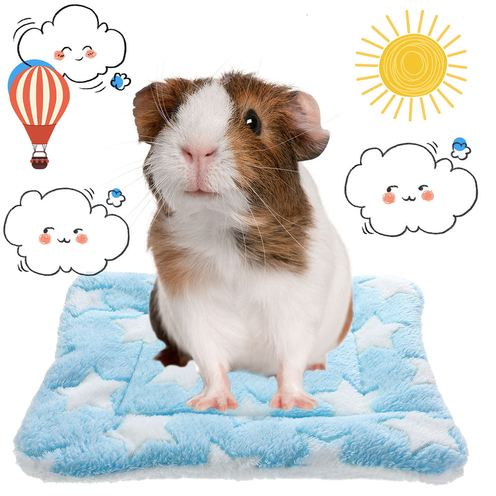 Jetec guinea pig pad curl-up scene illustrates relaxed small pets.