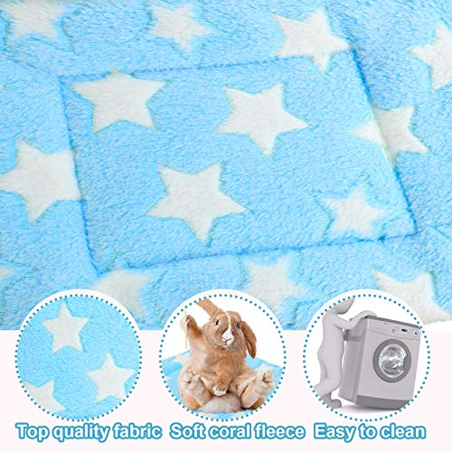 Jetec winter pet mat provides warm shelter on cold floors.