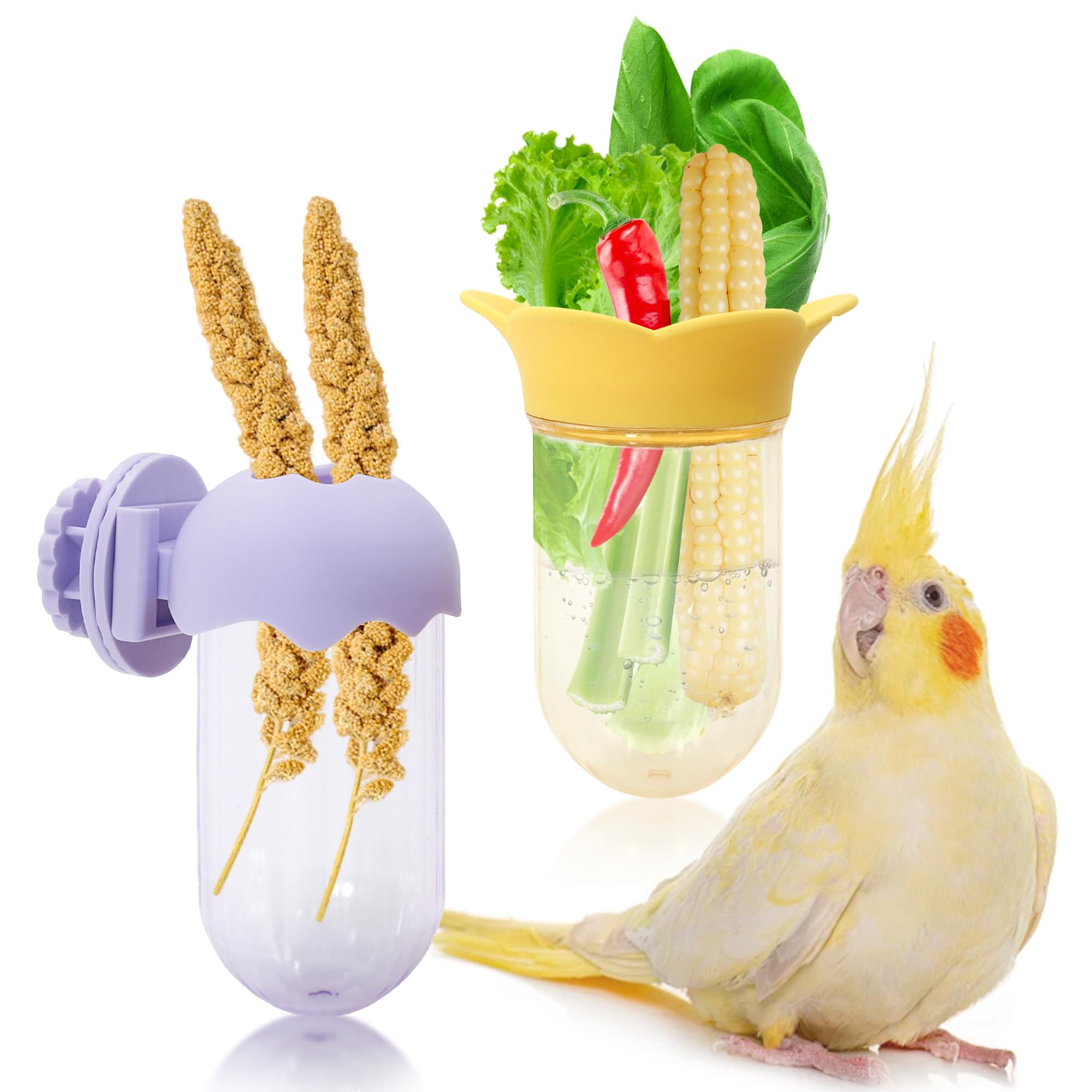 Jevnd bird cage feeder water-storage design keeps greens fresh longer.
