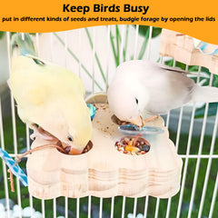 Jevnd bird enrichment toy with colorful lids enhances exploration and reduces idle behavior.