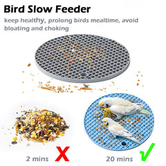 Jevnd bird foraging puzzle being explored by a cockatiel helps reduce boredom.