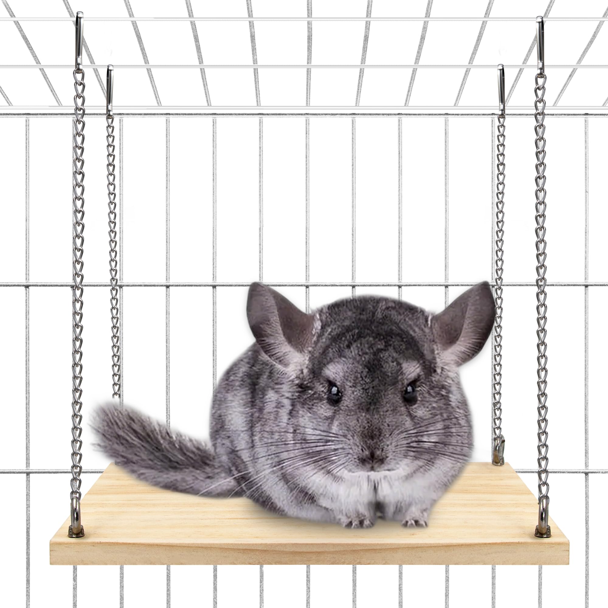 Jevnd chinchilla swing toy setup for interactive cage enrichment during play.