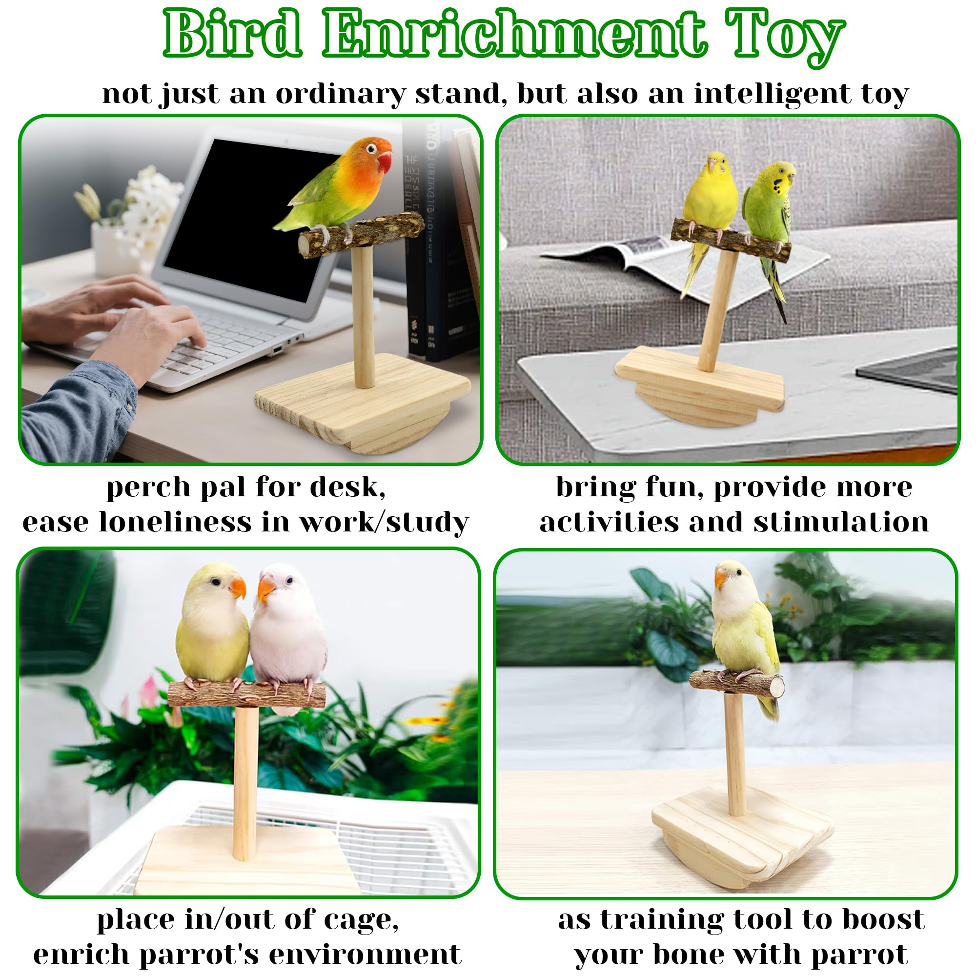 Jevnd desk-play bird stand enables daily interactive enrichment on a small bird's perch