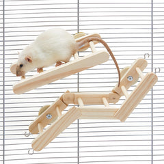 Jevnd flexible rat ladder folding design offers varied routes for engaging climb.