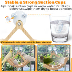 Jevnd group-enrichment bird toy supports social play for 1-4 small birds