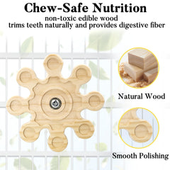Jevnd interactive enrichment chinchilla toy emphasizes bonding through gentle rotation play.