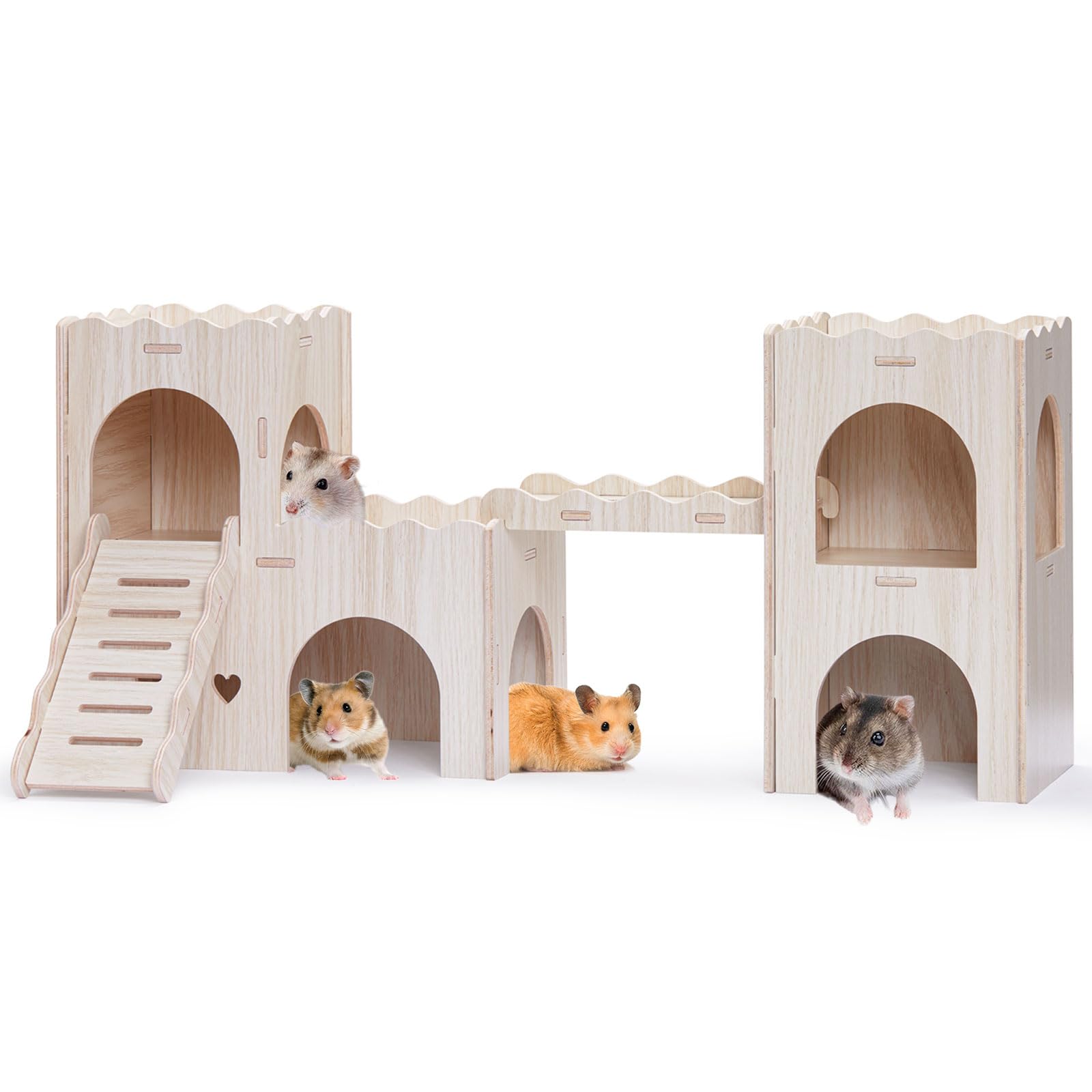 Jevnd large hamster hideout front view highlights spacious interior for social play
