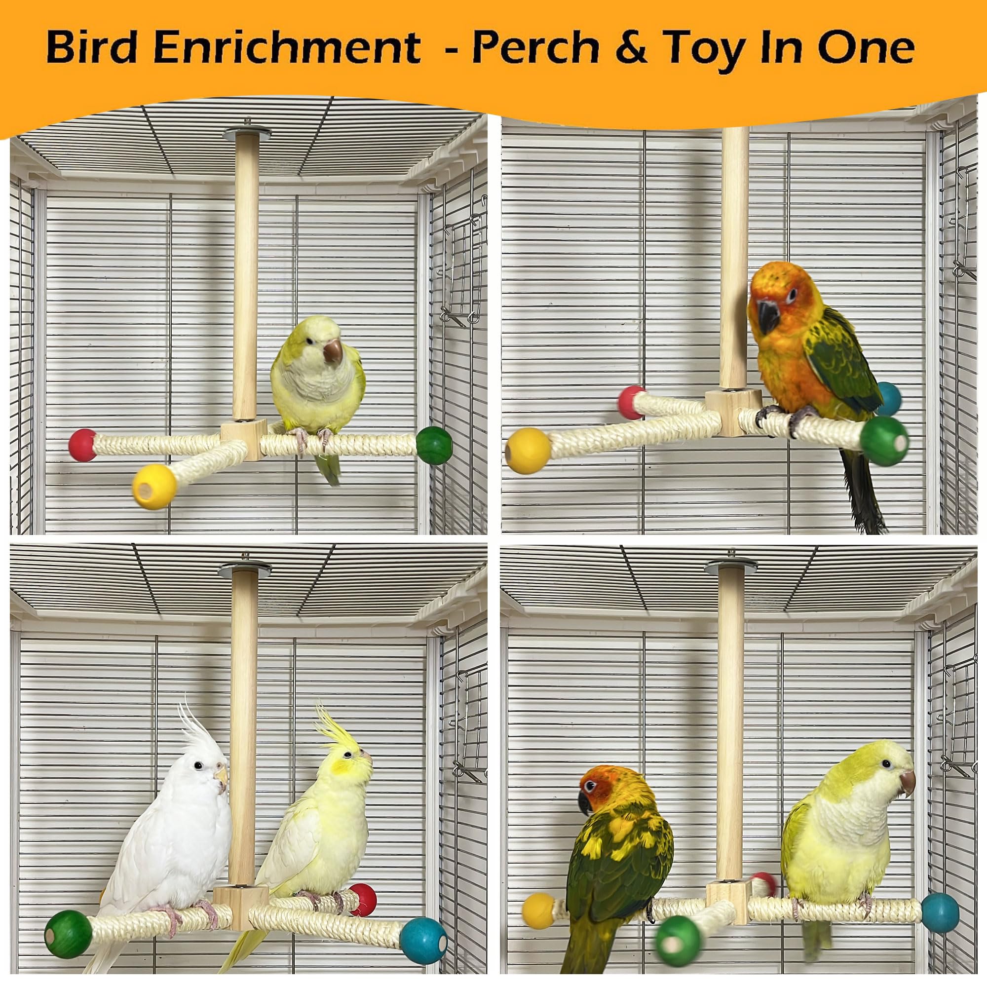 Jevnd multi-bird enrichment toy with perches supports social play and mental stimulation