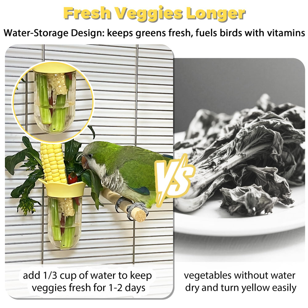 Jevnd parakeet feeder separate veggie keeps greens from dry foods.