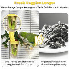Jevnd parakeet feeder separate veggie keeps greens from dry foods.
