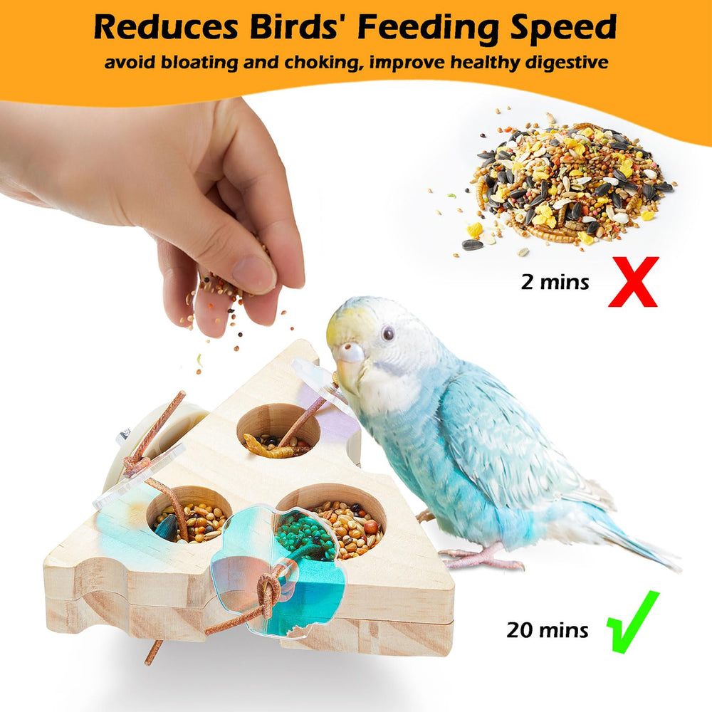 Jevnd parakeet puzzle toy lid-open feature supports treat-led training and curiosity.