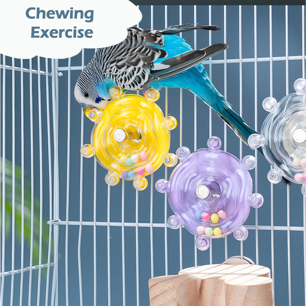 Jevnd parakeet toy acrylic colors highlight durable, chew-resistant materials for daily bird fun.