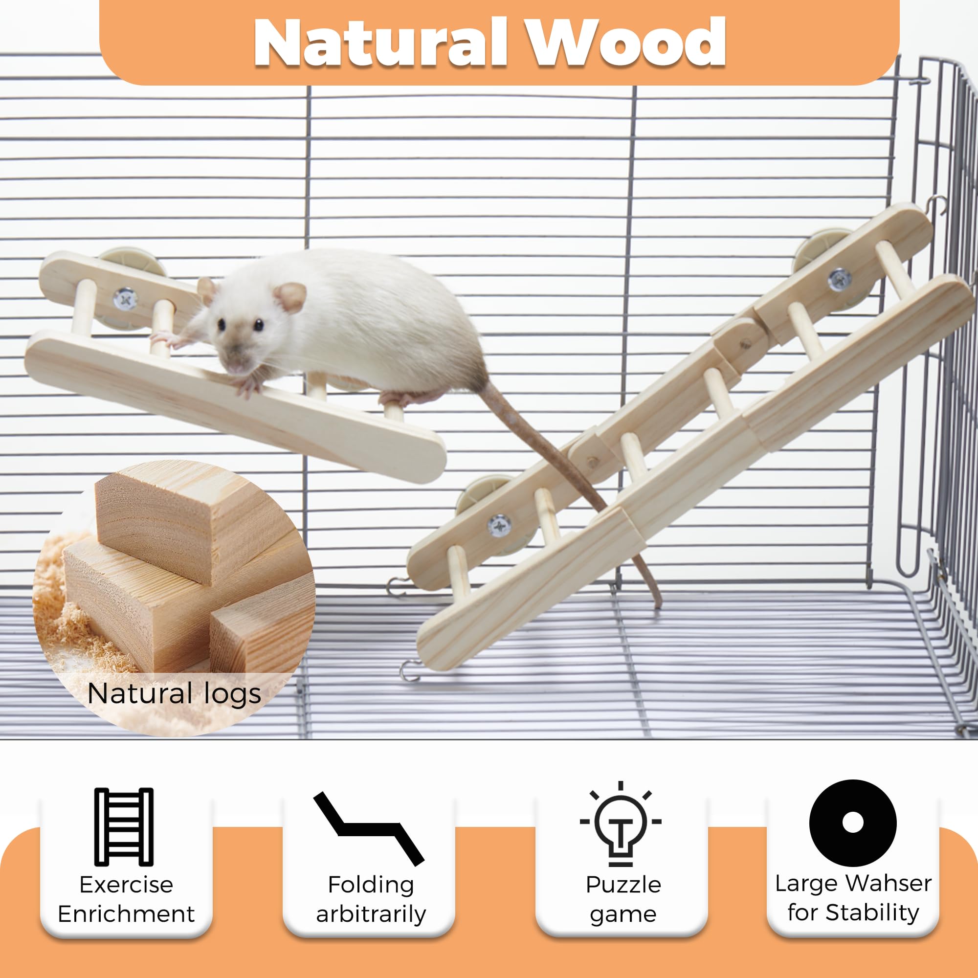 Jevnd rat exercise enrichment setup encourages climbing adventures and agility.