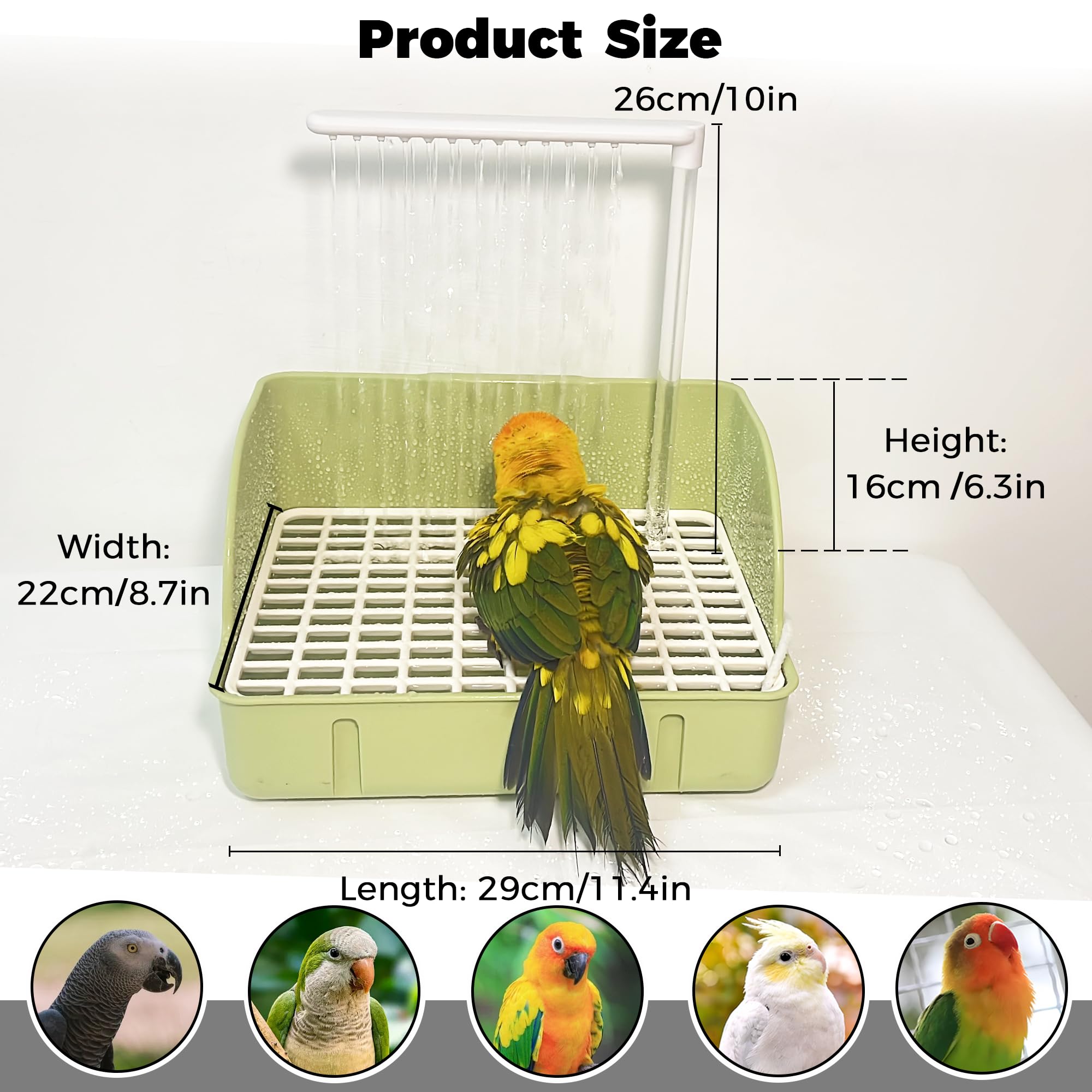 Jevnd safe non-toxic plastic construction emphasizes bird friendly materials