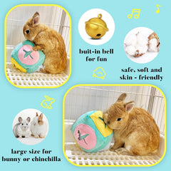 Jevnd six-sided foraging toy enhances treat discovery and enrichment.